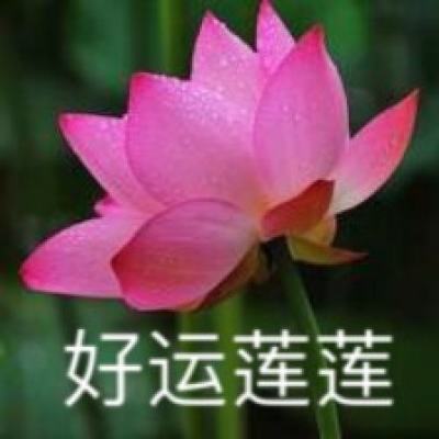 新华全媒+｜重庆潼南“油菜花经济”丰富农村经济业态